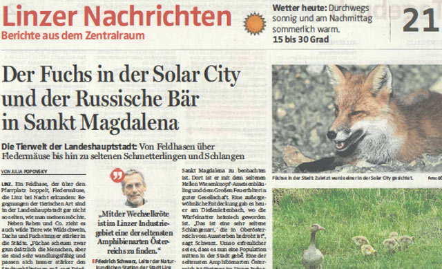 OÖ Nachrichten